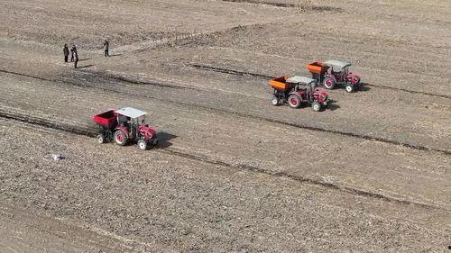 亚洲 国产 熟,国产熟品鉴之旅