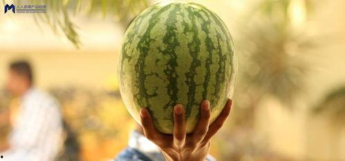 2021娱乐圈吃瓜不断